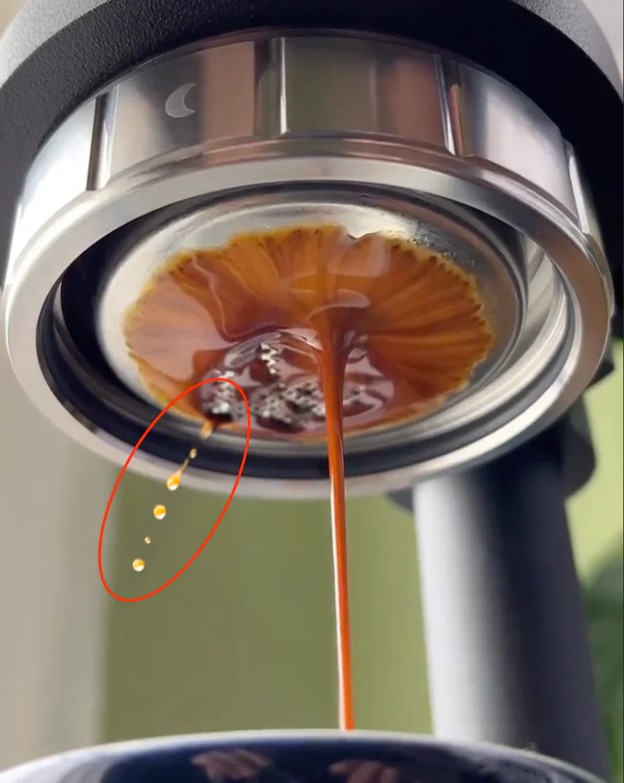 The Science and Techniques of Espresso Puck Distribution